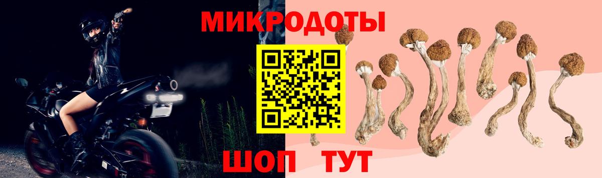 Галлюциногенные грибы мицелий Свободный